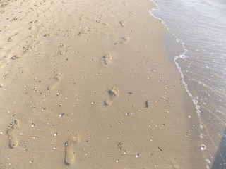 Footprints on sandy beach