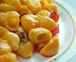 pasta alla carrettiera
