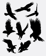Eagle flying silhouettes