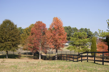 Fototapeta na wymiar Horse Farm in the Fall with Fencing