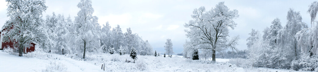 Fototapeta na wymiar Swedish Winter Landscape Panorama 