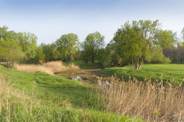 Spring landscape