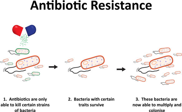 Antibiotic Resistance