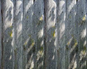Old wood texture with natural patterns