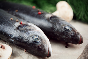 Raw seabass fish on the wooden board
