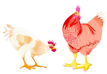 une poule blanche et une poule rousse