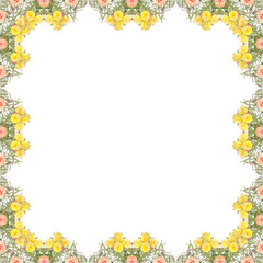 Portulaca flower frame isolated on white background