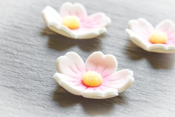 Fototapeta na wymiar Blumenblüten aus Zuckerguss