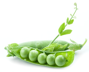 Open pea pod on a white background.