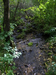 Ручей Лалетина