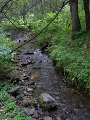 Ручей Лалетина