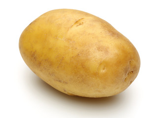 Potato