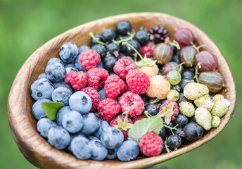 Ripe berries in the wooden bowl over green grass.