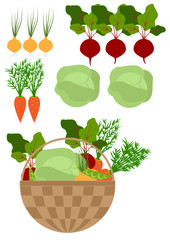 fresh vegetables with tops and vegetables in a basket isolated on a white background