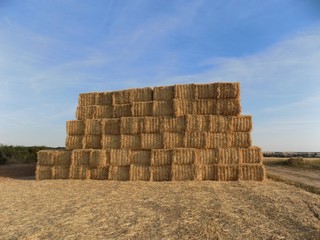 Large pile of hay bales