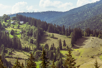 Rural mountain landscape