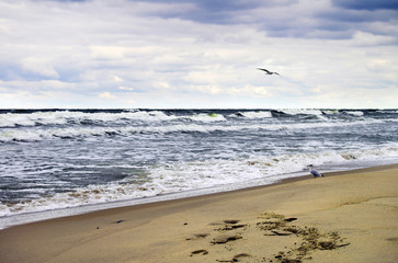 The Baltic Coast