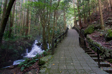 Obraz premium 愛媛県 観音水 遊歩道