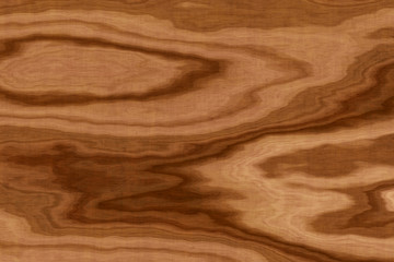 background of olive wood texture
