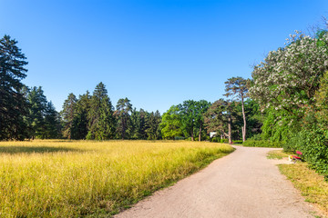 Beautiful summer landscape with field of green grass and footpath
