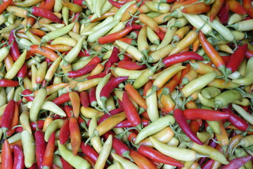 ベトナム唐辛子