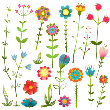 Colorful Cartoon Wild Flowers Isolated Collection 