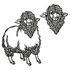 Obraz premium curly countour Sheep cartoon vector illustration