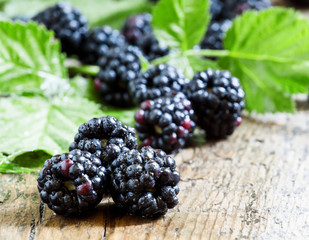 Fresh blackberries with leaves on the old wooden background, sel