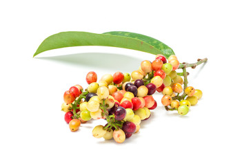 Antidesma velutinosum Blume Fruit isolated on white background