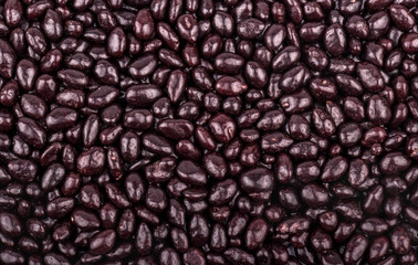 Sunflower seeds in chocolate
