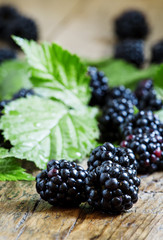 Fresh blackberries with leaves on the old wooden background, sel