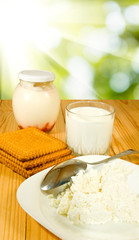 dairy products