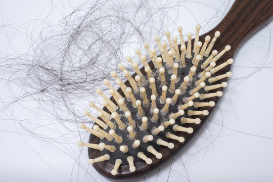 Hair loss problem on bruch, on white background