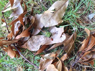 Insects are amazing creatures. 