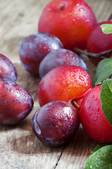 Ripe blue and red plums on old wooden background, selective focu