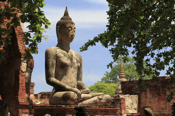 Fototapeta premium アユタヤの仏像