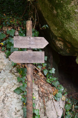 Signpost in a forest