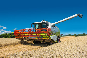 Combine in wheat field - 2677 © Wolfgang Jargstorff