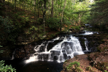 Waterfall in Bushkill Falls national park, USA