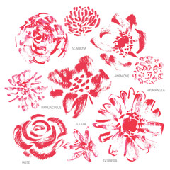 Vector Set of Grunge or Watercolor Flowers - EPS10