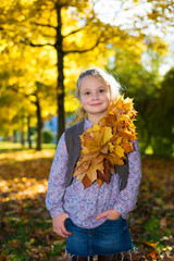 Adorable little girl with autumn leaves in the beauty park