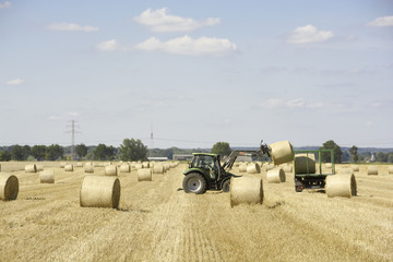 Obraz premium Landwirtschaft