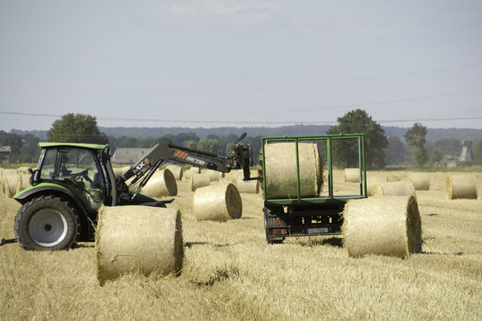 Landwirtschaft