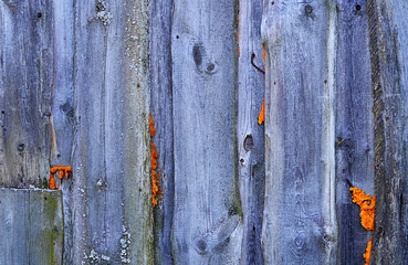 Fence from wooden boards close up