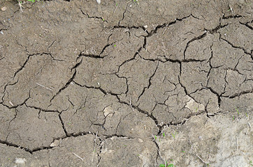 The dried-up dirt with cracks