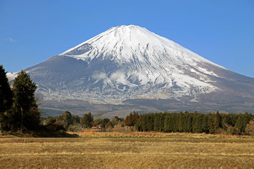 Beautiful view of Mt. Fuji, Japan