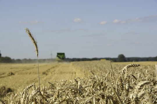 Landwirtschaft