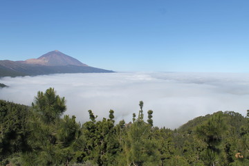 Fototapeta premium Volcán Teide y mas de nubes en el Valle de la Orotava