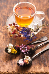 Obraz na płótnie Canvas Herbal floral tea. Herbs and flowers, herbal medicine.