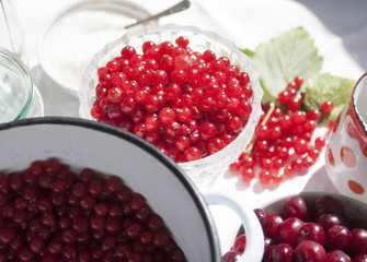 Berries on the table